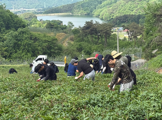 2025학년도 재난안전학과 농촌 봉사활동